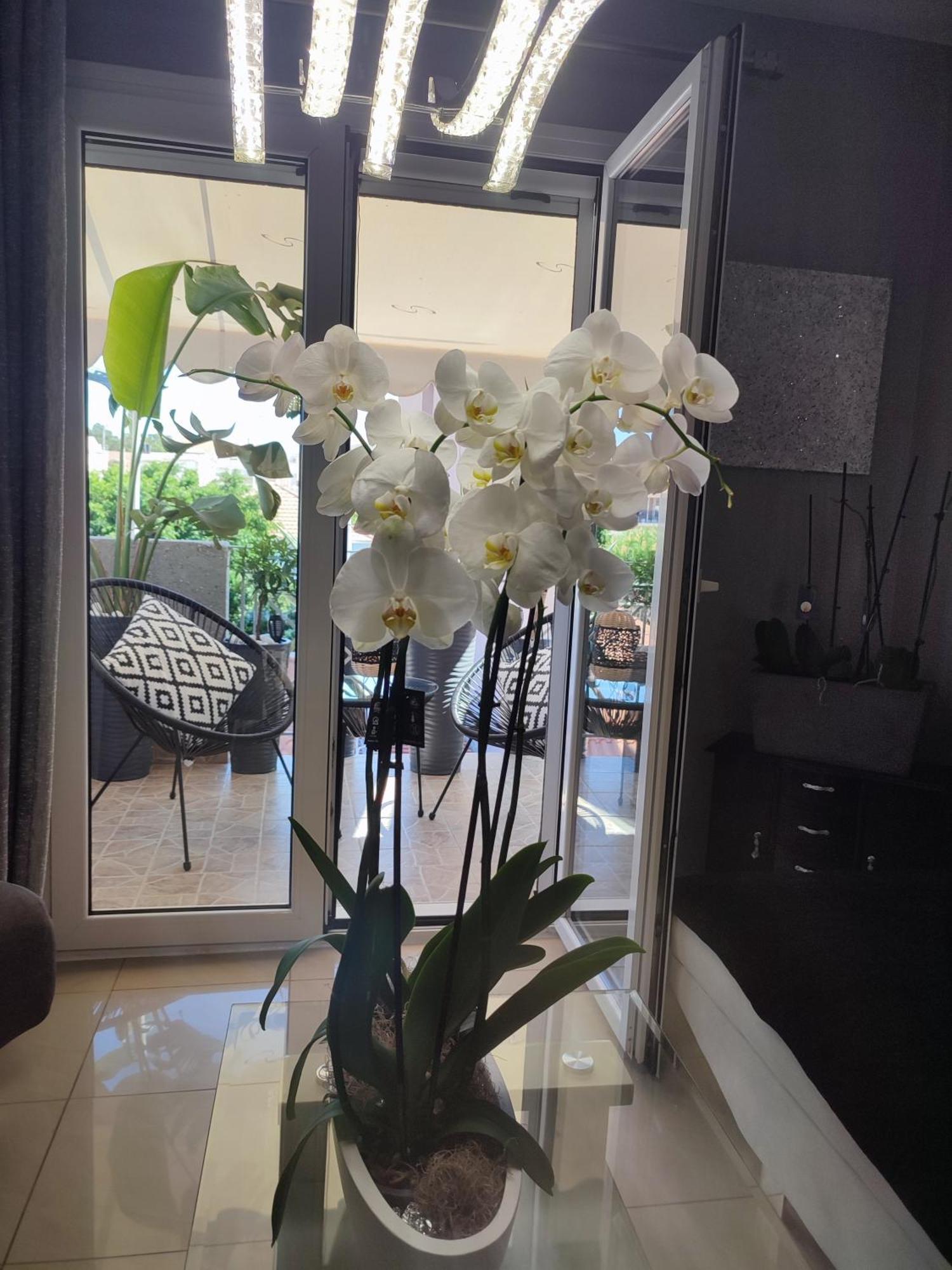 Diamond City Lux Apartment أرغوستولي المظهر الخارجي الصورة